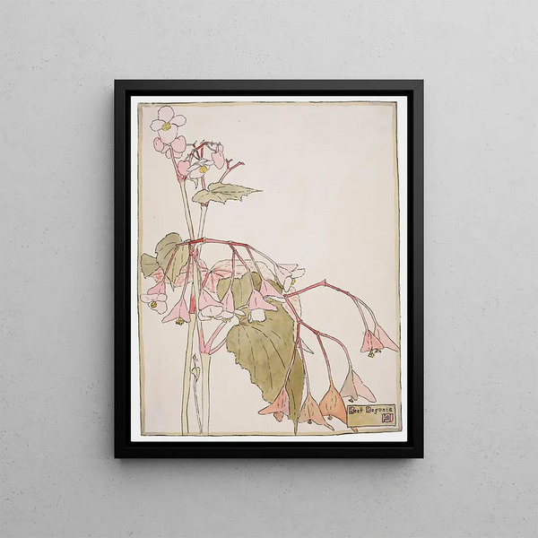Hannah Borger Overbeck - Beef Begonia.webp