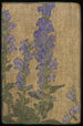 Delphinium - Hannah Borger Overbeck — Ansicht des Kunstwerks