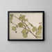 Sycomore occidental - Hannah Borger Overbeck — gerahmtes Bild an der Wand