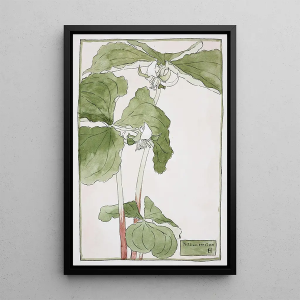 Trille dressé - Hannah Borger Overbeck — gerahmtes Bild an der Wand