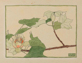 Tulipier - Hannah Borger Overbeck — Ansicht des Kunstwerks
