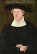 Portrait de Wolff Fuerleger - Hans Brosamer — Ansicht des Kunstwerks