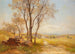 Sommerlandschaft - Hans Divok — Ansicht des Kunstwerks