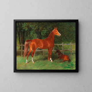 Kastanienbaum mit einem Fohlen auf der Weide - Hans Haag — gerahmtes Bild an der Wand