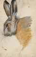 Tête de lièvre - Hans Hug Kluber — Ansicht des Kunstwerks