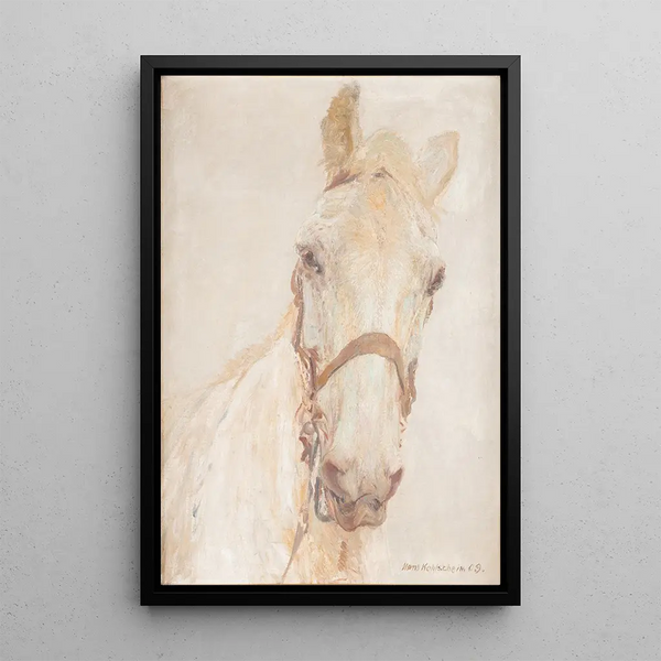 Weißes Pferd - Hans Kohlschein — gerahmtes Bild an der Wand