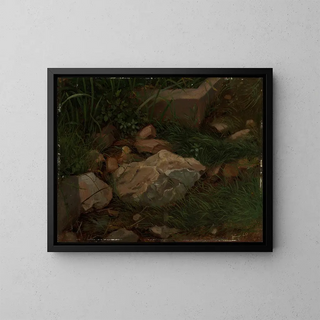 Hans Thoma - Steine im Gras.webp