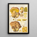 Bolet aqueux - Hans Baldung — gerahmtes Bild an der Wand