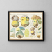 Boletus macrocephalus - Hans Baldung — gerahmtes Bild an der Wand