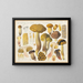 Bolet rimosus Venturi nigrescens R et R - Hans Baldung — gerahmtes Bild an der Wand