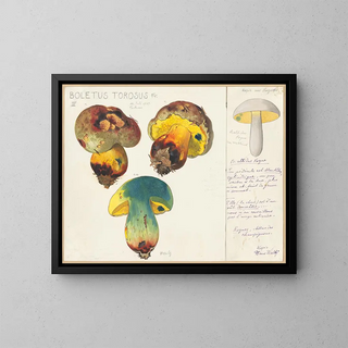 Boletus torosus - Hans Baldung — gerahmtes Bild an der Wand