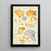 Cantharellus cibarius Fr - Hans Baldung — gerahmtes Bild an der Wand