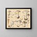Clitocybe nébuleux - Hans Baldung — gerahmtes Bild an der Wand