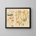 Clitocybe obsoleta und Clitocybe géotrope - Hans Baldung — gerahmtes Bild an der Wand