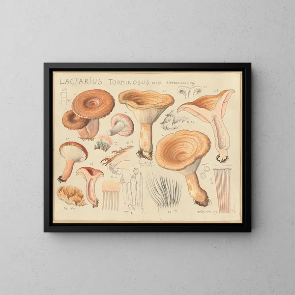 Lactaire torminosus - Hans Baldung — gerahmtes Bild an der Wand