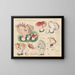 Limacium russula - Hans Baldung — gerahmtes Bild an der Wand