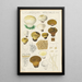 Lycoperdon hyemale - Hans Baldung — gerahmtes Bild an der Wand