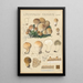 Lycoperdon piriforme - Hans Baldung — gerahmtes Bild an der Wand