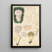 Lycoperdon velatum - Hans Baldung — gerahmtes Bild an der Wand