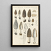 Morchella conica persoon - Hans Baldung — gerahmtes Bild an der Wand