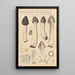 Morchella rimosipes - Hans Baldung — gerahmtes Bild an der Wand