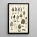 Morchella vulgaris - Hans Baldung — gerahmtes Bild an der Wand