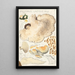 Polyporus lacteus Fries - Hans Baldung — gerahmtes Bild an der Wand
