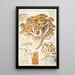 Polyporus ramosissimus Schff - Hans Baldung — gerahmtes Bild an der Wand