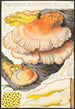 Polyporus sulfureus Bull Fr - Hans Baldung — Ansicht des Kunstwerks