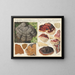 Polystictus fomentarius et Placodes ungulatus - Hans Baldung — gerahmtes Bild an der Wand