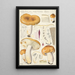 Russula foetens Pers - Hans Baldung — gerahmtes Bild an der Wand