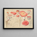 Russule jolie Fr - Hans Baldung — gerahmtes Bild an der Wand
