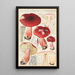 Russula linnaei - Hans Baldung — gerahmtes Bild an der Wand
