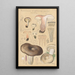 Russula nigricans - Hans Baldung — gerahmtes Bild an der Wand