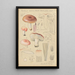 Russula vesca subsp Depallens singer - Hans Baldung — gerahmtes Bild an der Wand