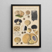 Scleroderma aurantium Pers - Hans Baldung — gerahmtes Bild an der Wand