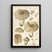 Tricholoma pardinum quelet - Hans Baldung — gerahmtes Bild an der Wand