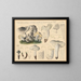 Tricholome saponacé var. squameux - Hans Baldung — gerahmtes Bild an der Wand