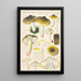 Tricholoma sejunctum Sow - Hans Baldung — gerahmtes Bild an der Wand