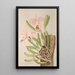 Cattleya Mossiae - Harriet Stewart Miner — gerahmtes Bild an der Wand