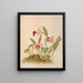 Laelia Dayeana - Harriet Stewart Miner — gerahmtes Bild an der Wand