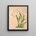 Odontoglossus Alexandrae - Harriet Stewart Miner — gerahmtes Bild an der Wand