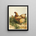 Poule Cochin chamois - Harrison Weir — gerahmtes Bild an der Wand