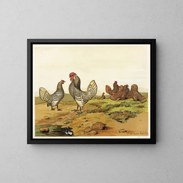 Bantams dorés et argentés - Harrison Weir — gerahmtes Bild an der Wand