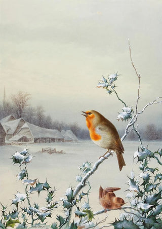 Harry Bright - Winter A Robin and Wren.webp