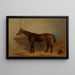 Isonomy ein brauner Fohlen in einem Stall - Harry Hall — gerahmtes Bild an der Wand