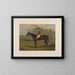 Parole, brauner Hengst - Harry Hall — gerahmtes Bild an der Wand