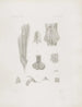 Mémoires du Musée de zoologie comparée du Harvard College Pl03 - Musée de Zoologie Comparée de l'Université Harvard — Ansicht des Kunstwerks
