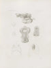 Mémoires du Musée de zoologie comparée du Harvard College Pl04 - Musée de Zoologie Comparée de l'Université Harvard — Ansicht des Kunstwerks