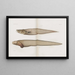 Mémoires du Pl89 - Museum für vergleichende Zoologie der Harvard-Universität — gerahmtes Bild an der Wand